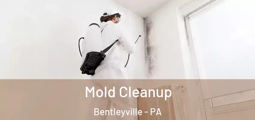  Mold Cleanup Bentleyville - PA