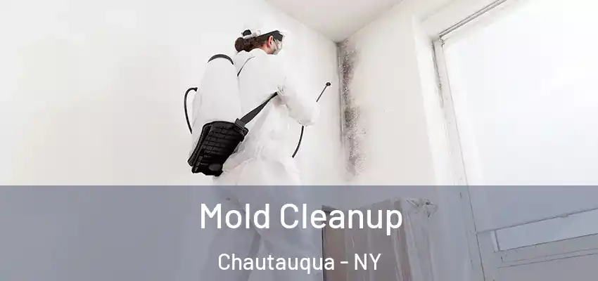  Mold Cleanup Chautauqua - NY