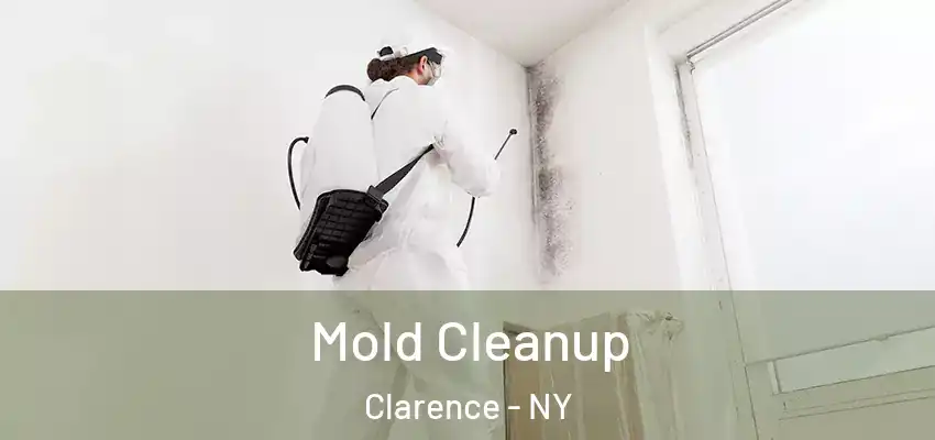  Mold Cleanup Clarence - NY