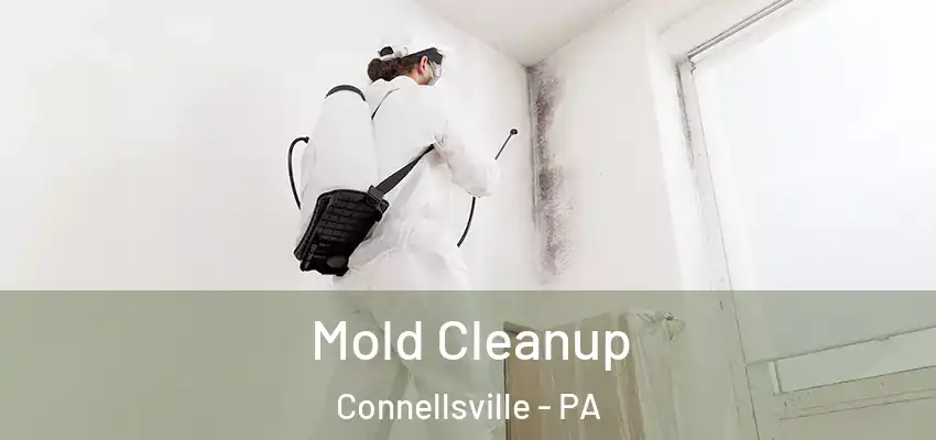  Mold Cleanup Connellsville - PA