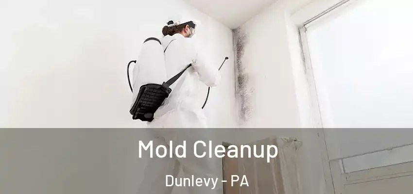  Mold Cleanup Dunlevy - PA