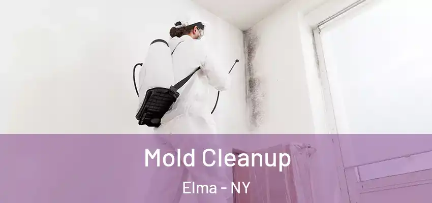  Mold Cleanup Elma - NY