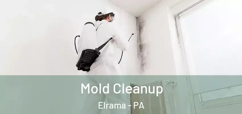  Mold Cleanup Elrama - PA