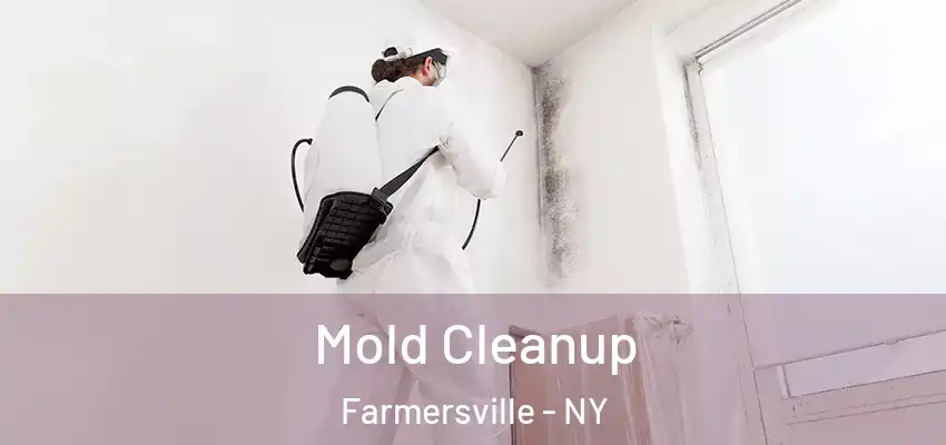 Mold Cleanup Farmersville - NY