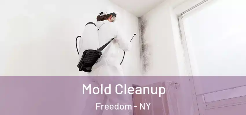  Mold Cleanup Freedom - NY
