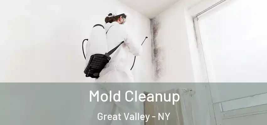  Mold Cleanup Great Valley - NY