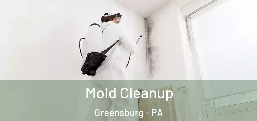  Mold Cleanup Greensburg - PA