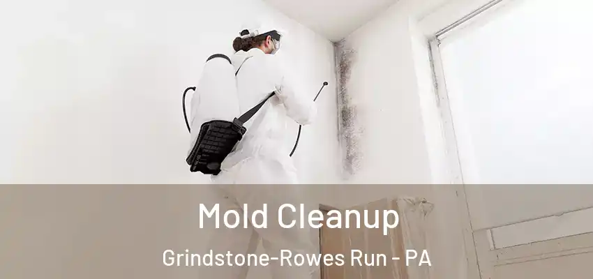  Mold Cleanup Grindstone-Rowes Run - PA