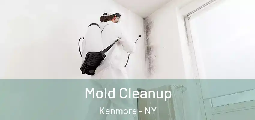  Mold Cleanup Kenmore - NY