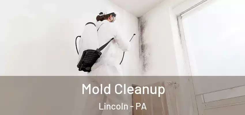  Mold Cleanup Lincoln - PA