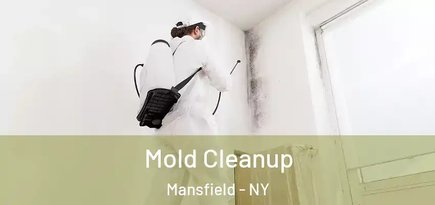  Mold Cleanup Mansfield - NY