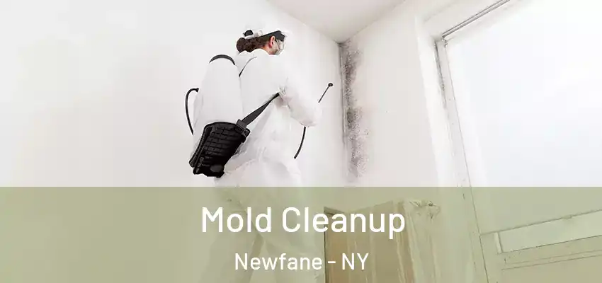  Mold Cleanup Newfane - NY
