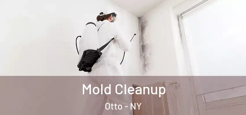  Mold Cleanup Otto - NY