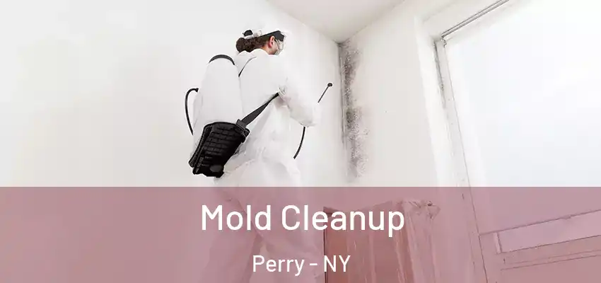  Mold Cleanup Perry - NY