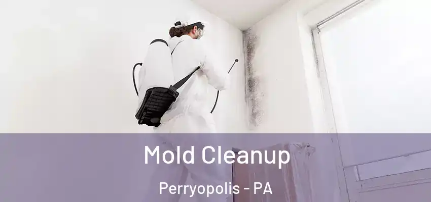  Mold Cleanup Perryopolis - PA