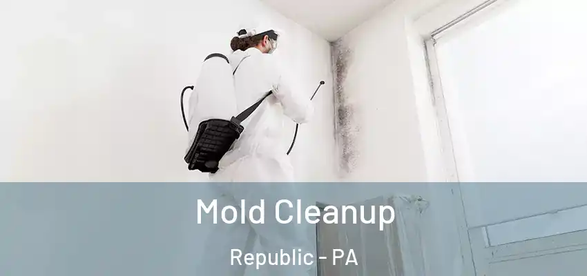  Mold Cleanup Republic - PA