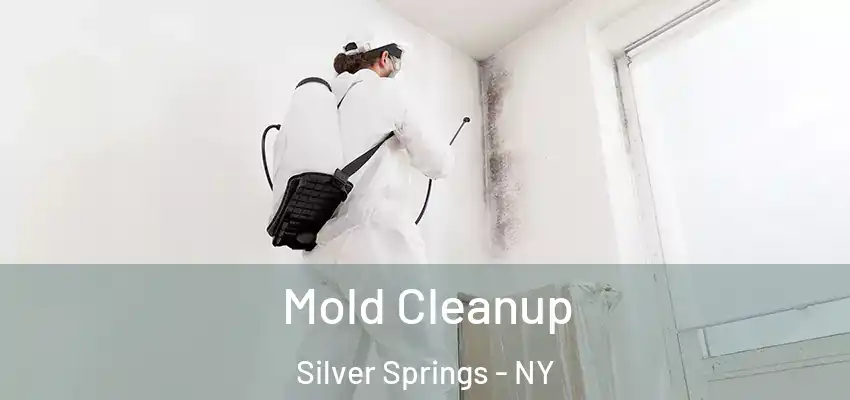  Mold Cleanup Silver Springs - NY
