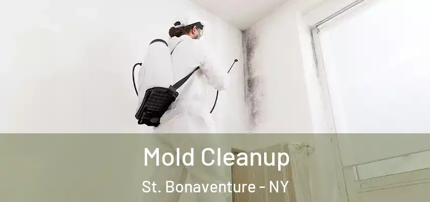  Mold Cleanup St. Bonaventure - NY