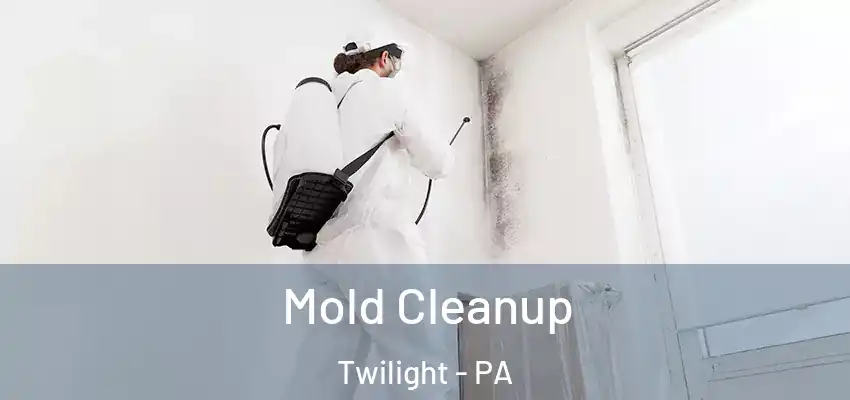  Mold Cleanup Twilight - PA