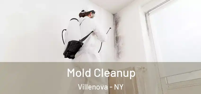  Mold Cleanup Villenova - NY