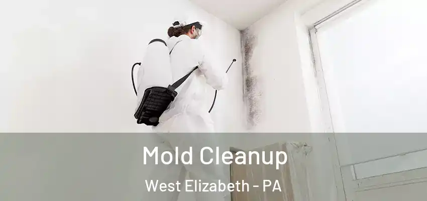  Mold Cleanup West Elizabeth - PA