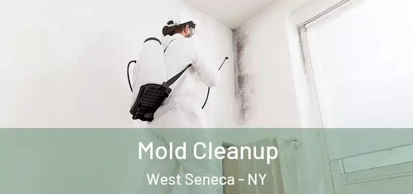  Mold Cleanup West Seneca - NY