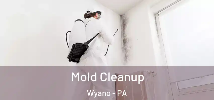  Mold Cleanup Wyano - PA