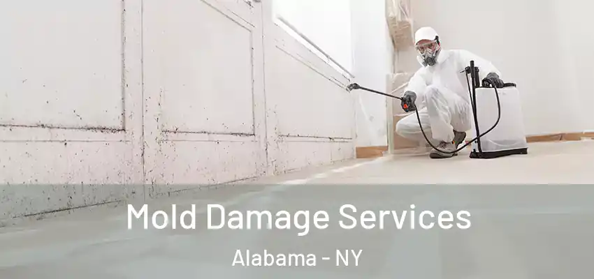  Mold Damage Services Alabama - NY