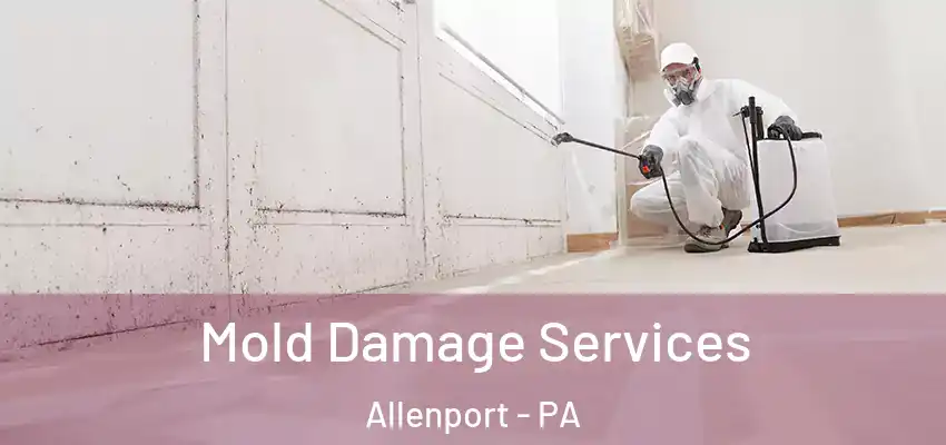  Mold Damage Services Allenport - PA