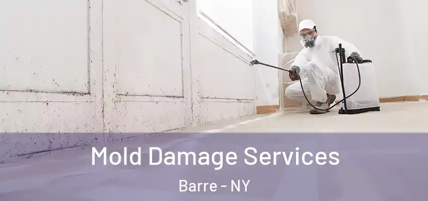  Mold Damage Services Barre - NY