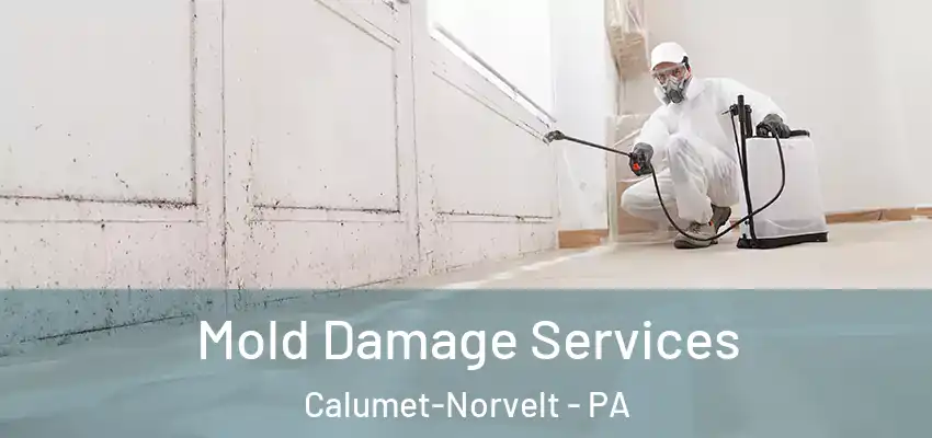  Mold Damage Services Calumet-Norvelt - PA