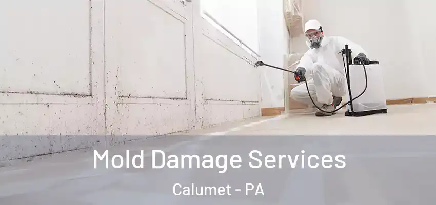  Mold Damage Services Calumet - PA