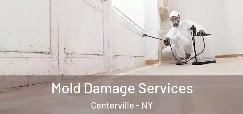  Mold Damage Services Centerville - NY
