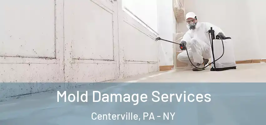  Mold Damage Services Centerville, PA - NY