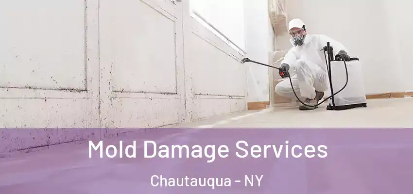  Mold Damage Services Chautauqua - NY