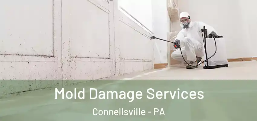  Mold Damage Services Connellsville - PA