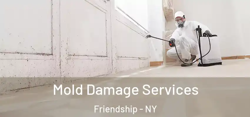  Mold Damage Services Friendship - NY