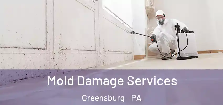  Mold Damage Services Greensburg - PA