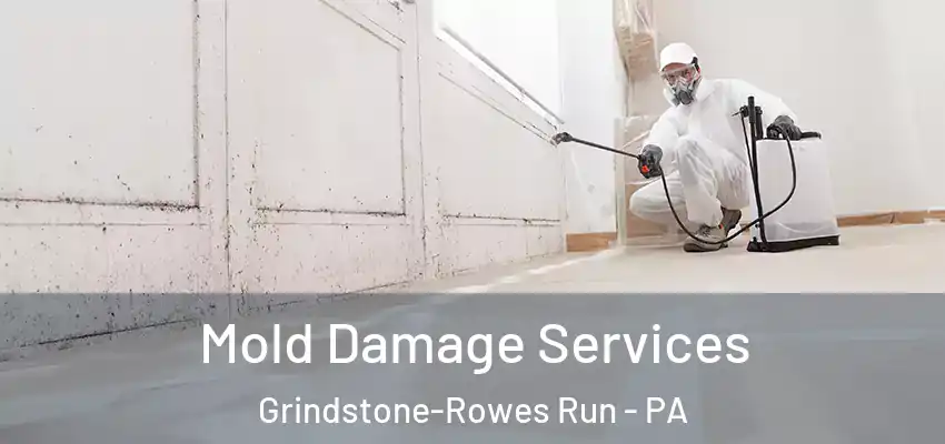  Mold Damage Services Grindstone-Rowes Run - PA