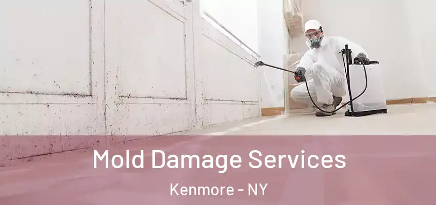  Mold Damage Services Kenmore - NY