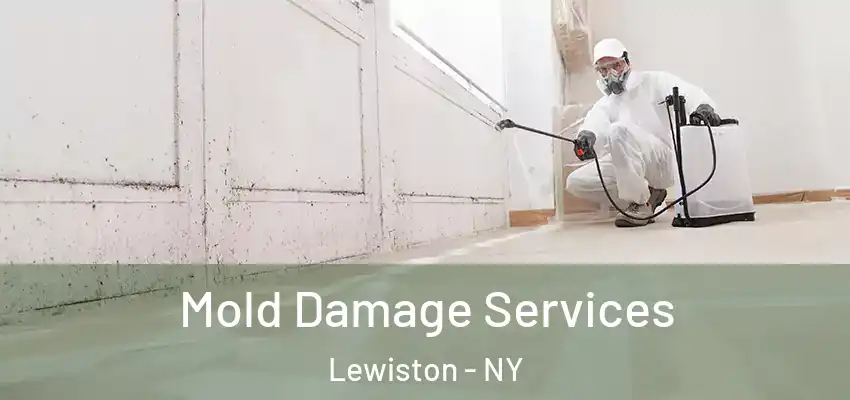  Mold Damage Services Lewiston - NY