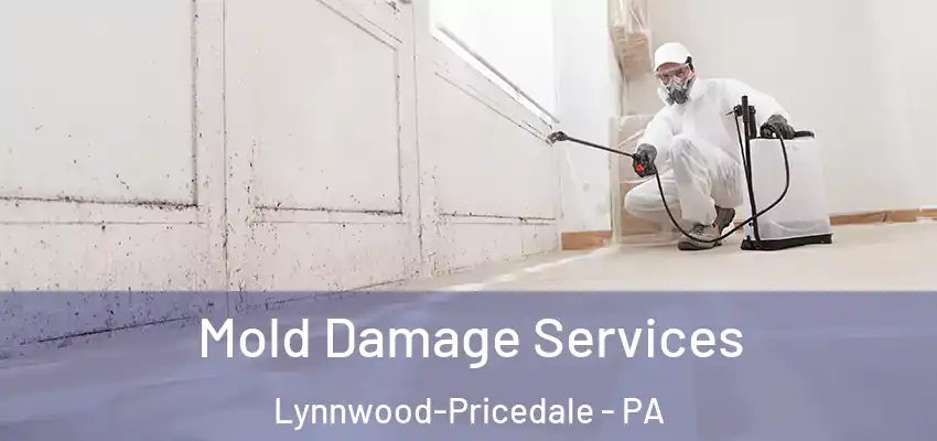  Mold Damage Services Lynnwood-Pricedale - PA