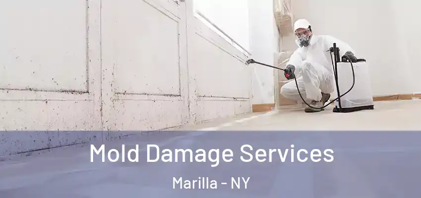  Mold Damage Services Marilla - NY