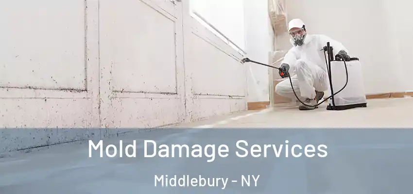  Mold Damage Services Middlebury - NY