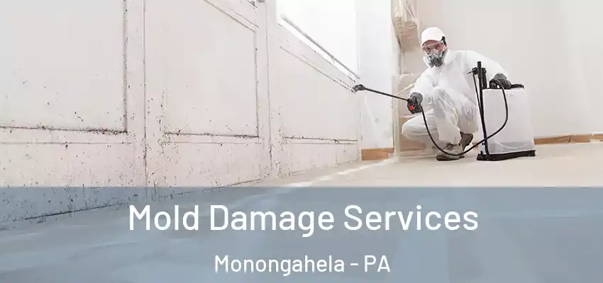  Mold Damage Services Monongahela - PA