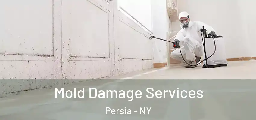  Mold Damage Services Persia - NY