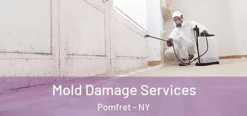 Mold Damage Services Pomfret - NY