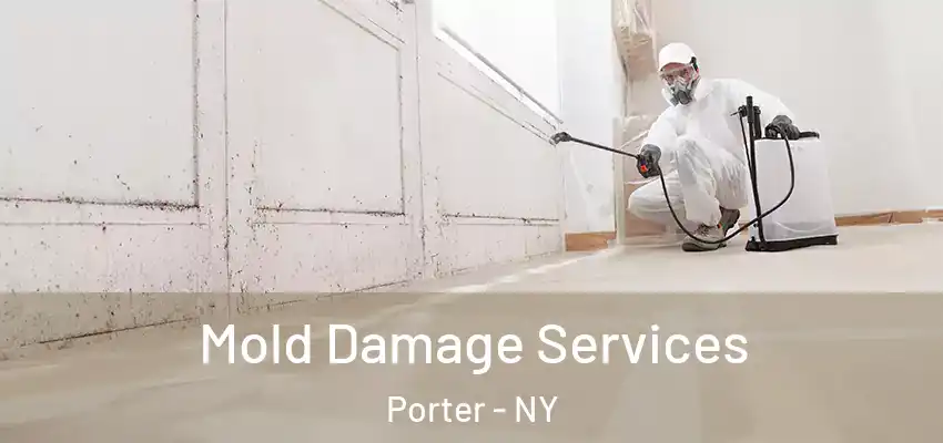  Mold Damage Services Porter - NY