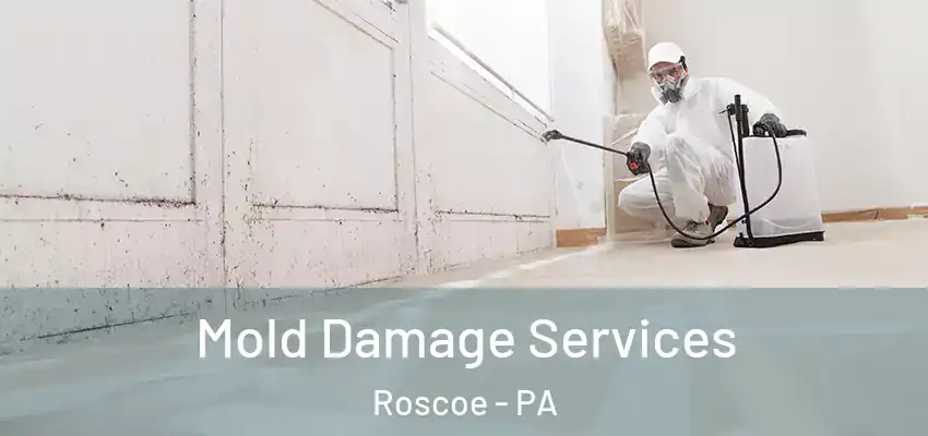  Mold Damage Services Roscoe - PA