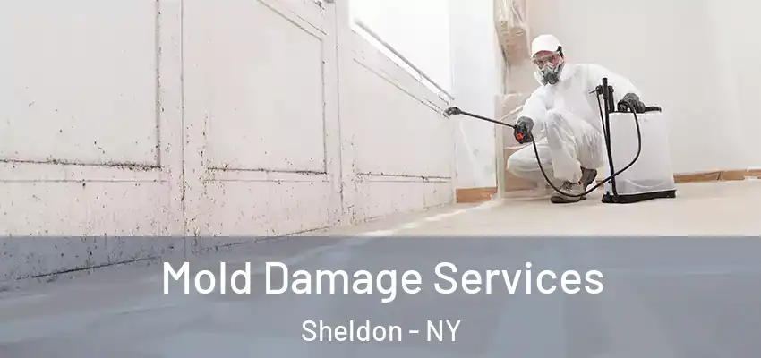  Mold Damage Services Sheldon - NY